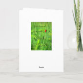 Hier kommt ganz viel Glück für Dich! Kaart (Achterkant)