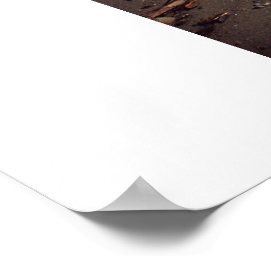 Hier komt de golf poster (Hoek)