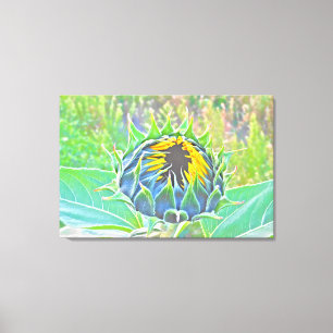 Hier komt de Zon Uitgerekte Canvas Print