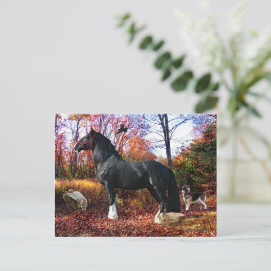 "Hier komt het Briefkaart van de Zon" (Staand voorkant)