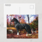 "Hier komt het Briefkaart van de Zon" (Voorkant / Achterkant)