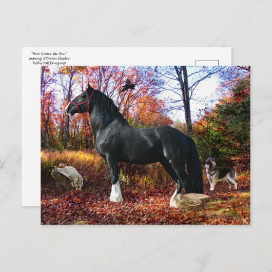 "Hier komt het Briefkaart van de Zon" (Voorkant / Achterkant)