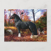 "Hier komt het Briefkaart van de Zon" (Voorkant)