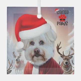Hier komt het Santa Dog Ornament