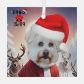 Hier komt het Santa Dog Ornament (Achterkant)