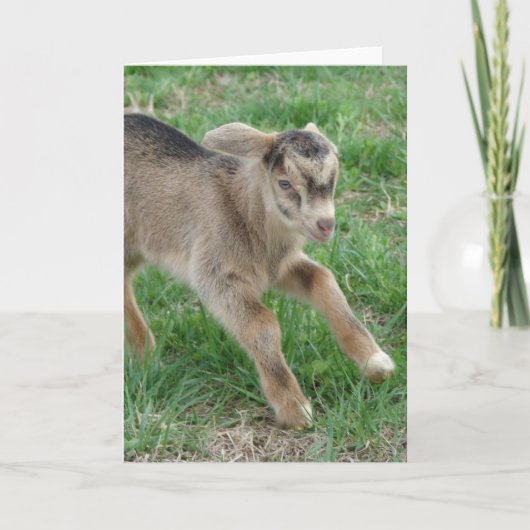 Hier komt Thunder Kaart (Voorkant)