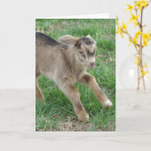 Hier komt Thunder Kaart (Gele Bloem)