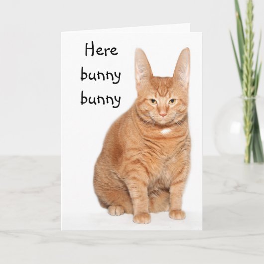 Hier konijntjeskonijntje feestdagen kaart (Voorkant)