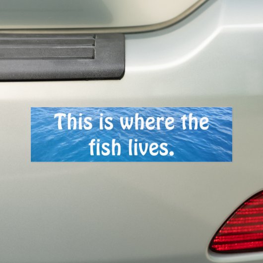 Hier leeft de vis. bumpersticker (Op auto)