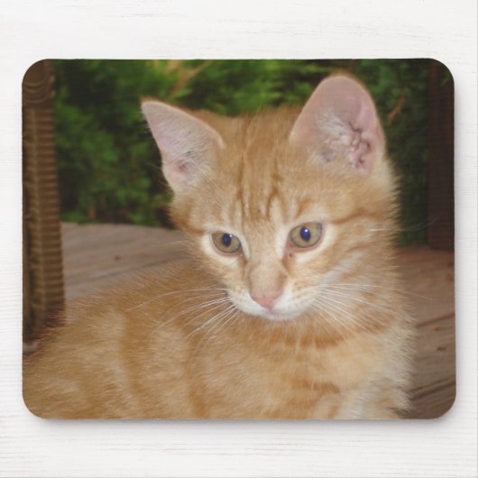 Hier, Mousey, Mousey! Muismat (Voorkant)