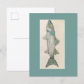 hier vissen vissen Vis Postkaart (Voorkant / Achterkant)