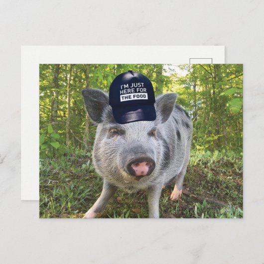 Hier voor de voedselvarkens briefkaart (Voorkant / Achterkant)