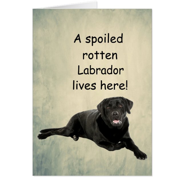 Hier woont een geroomde labrador (Voorkant)