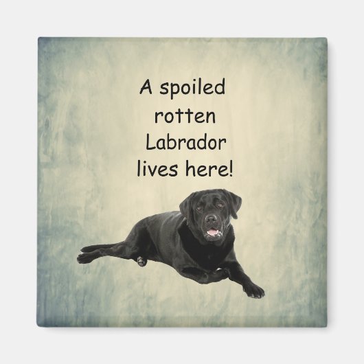 Hier woont een geroomde labrador magneet (Voorkant)