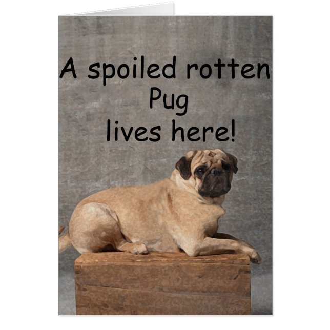 Hier woont een verwende verrotte pug (Voorkant)