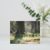 Hier zie je het Briefkaart van Faeries (Staand voorkant)