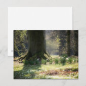 Hier zie je het Briefkaart van Faeries (Voorkant / Achterkant)