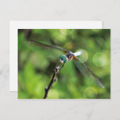 Hier zie je je Dragonfly Briefkaart (Voorkant / Achterkant)
