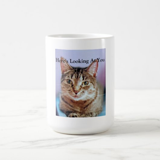 Hier zie je je Mok (Center)