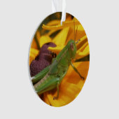 Hier zie je je — sprinkhaan ornament (voorkant)