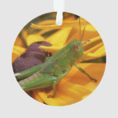 Hier zie je je — sprinkhaan ornament (achterkant)