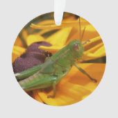 Hier zie je je — sprinkhaan ornament (voorkant)