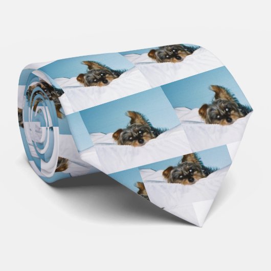 Hier zie je je stropdas (Opgerold)