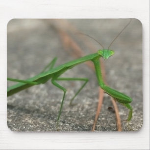 Hier zie je naar Mousepad. Muismat