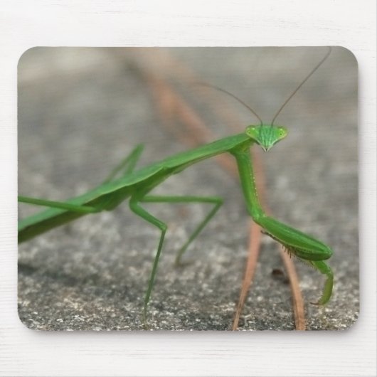 Hier zie je naar Mousepad. Muismat (Voorkant)