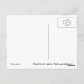 Hier zie Lyes Buried Briefkaart (Achterkant)