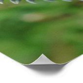 Hier zijn Dragons Poster (Hoek)