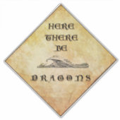 Hier zijn draken vinyl Stickers (Voorkant)