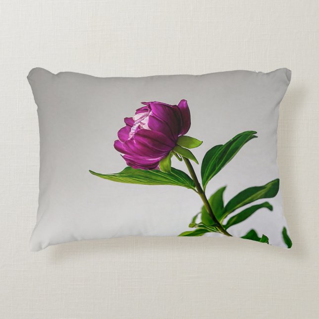 Hier zijn enkele creatieve titel ideeën voor een k accent kussen (Voorkant)