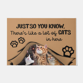 Hier zit een hoop katten in, binnenmat deurmat