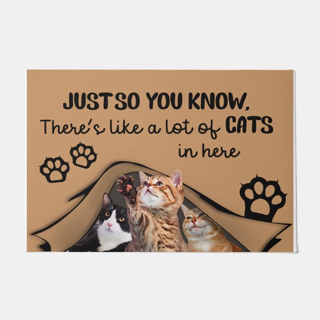 Hier zit een hoop katten in, binnenmat deurmat (Voorkant)