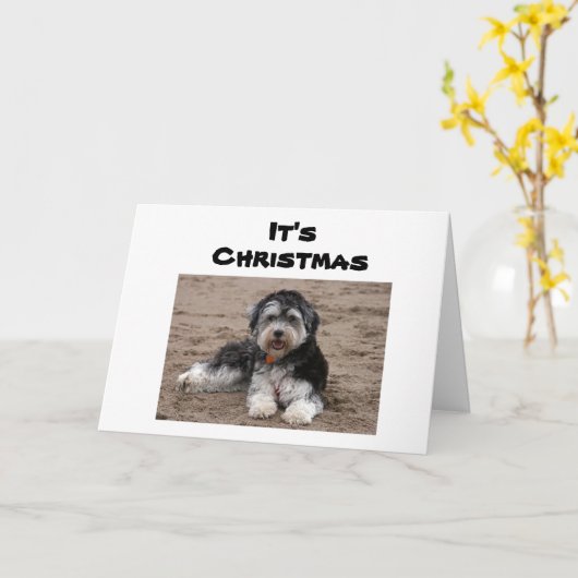 HIER ZITTEN WE NAAR U IN CHRISTMAS KAART (Gele Bloem)