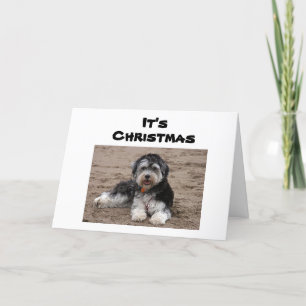 HIER ZITTEN WE NAAR U IN CHRISTMAS KAART