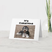 HIER ZITTEN WE NAAR U IN CHRISTMAS KAART (Voorkant)