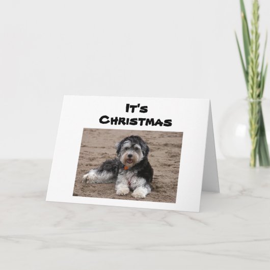 HIER ZITTEN WE NAAR U IN CHRISTMAS KAART (Voorkant)