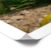 Hierapolis Ruins, Turkije Poster (Hoek)