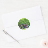 HIERMEE RONDE STICKER (Envelop)