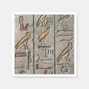 Hieroglief Oude Egyptische Taal Gegraveerde Tekst Servet