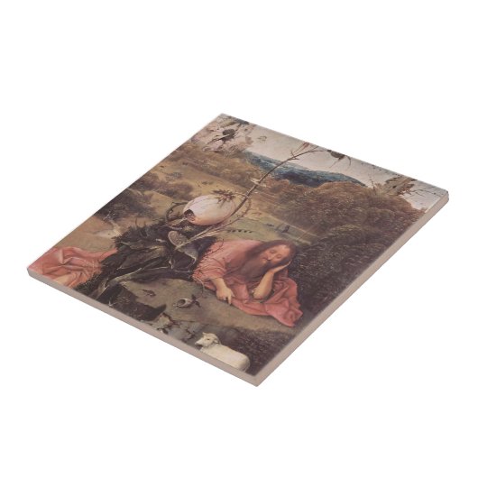 Hieronymus Bosch-St.John de Baptist in de Meditati Tegeltje (Zijkant)