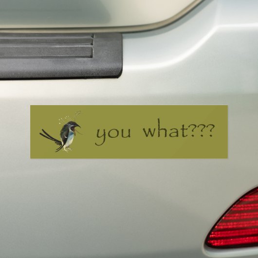 Hieronymus Bosch's Vogel bumpersticker (Op auto)