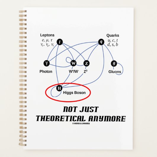 Higgs Boson niet alleen theoretisch meer Planner (Voorkant)