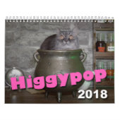 Higgypop Potions Calendat 2018 Kalender (Hoes)
