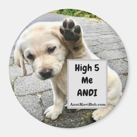 High 5 Me Andi Puppy Magneet (Voorkant)