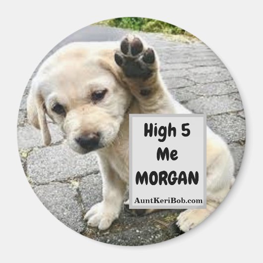 High 5 Me MORGAN Puppy Magneet (Voorkant)