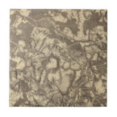 High Bridge en Virginia Tegeltje (Voorkant)