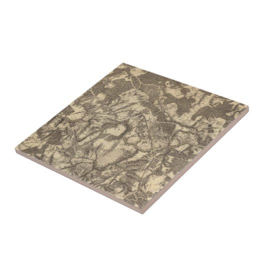 High Bridge en Virginia Tegeltje (Zijkant)